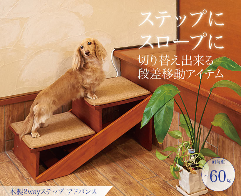 木製2WAYステップ アドバンス