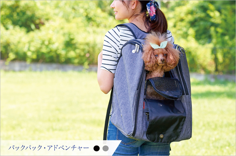 バックパック・アドベンチャー