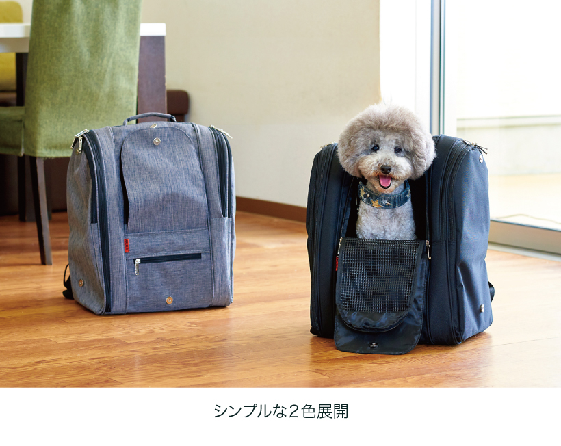 バックパック・アドベンチャー