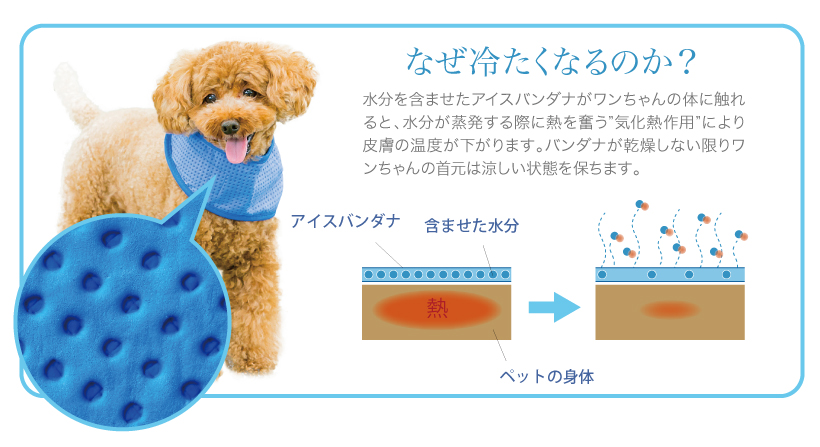 アイスバンダナS/M