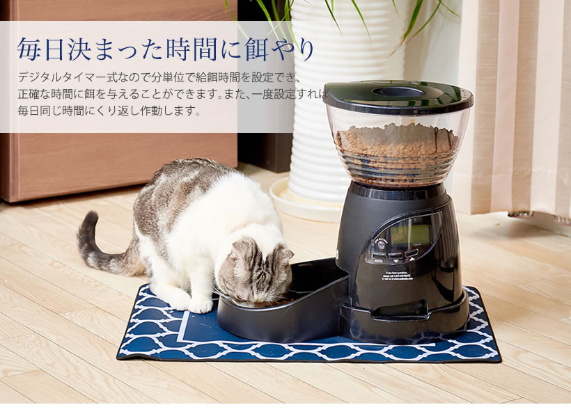 毎日決まった時間に餌やり