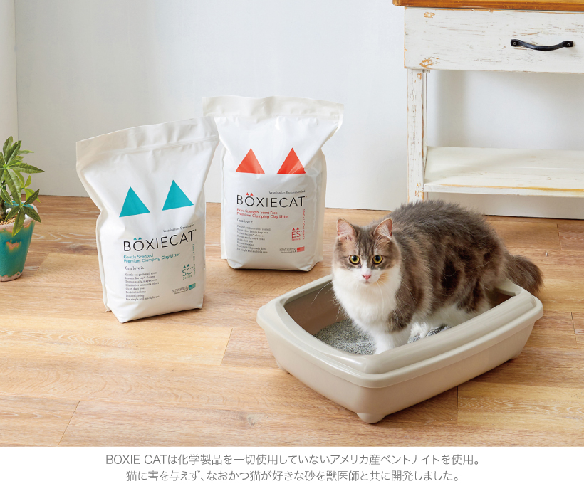 BOXIE CAT ブルー