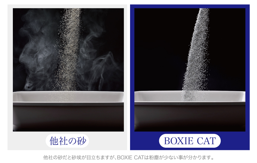BOXIE CAT グリーン