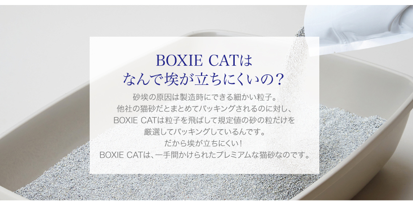 BOXIE CAT ブルー