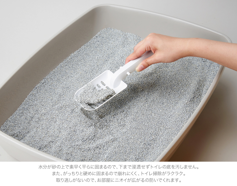 BOXIE CAT ブルー