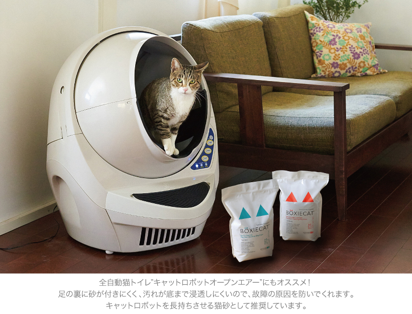 BOXIE CAT ブルー