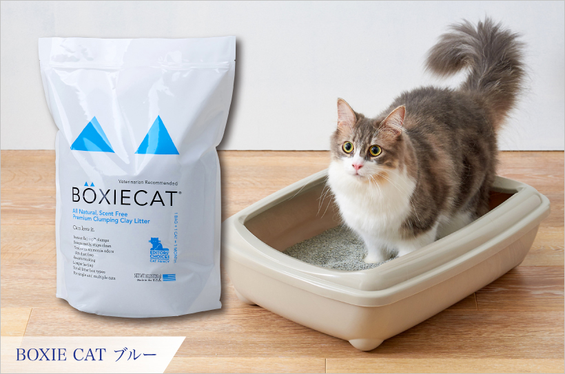 BOXIE CAT ブルー