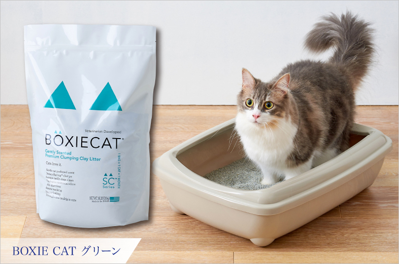 BOXIE CAT グリーン