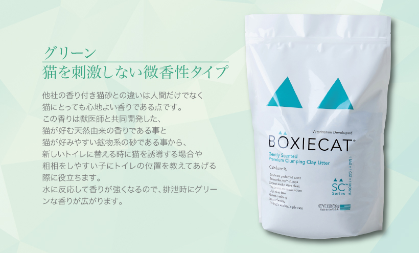 BOXIE CAT グリーン