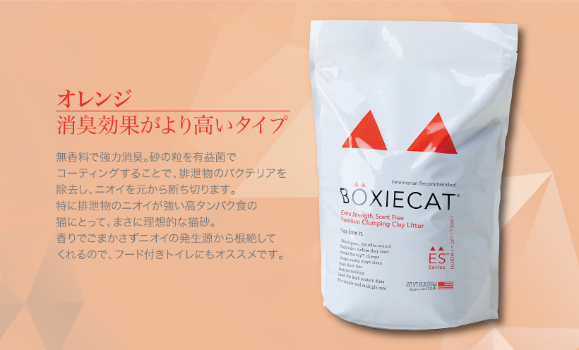 BOXIE CAT オレンジ