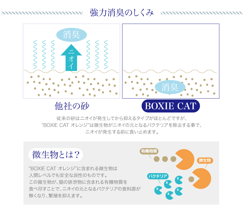 BOXIE CAT オレンジ