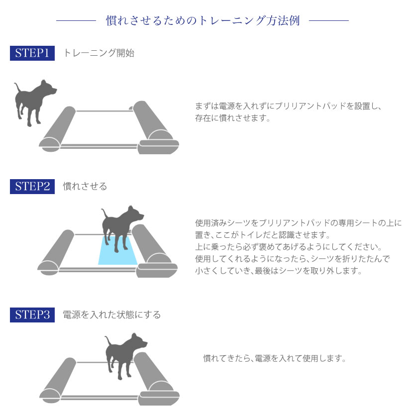 ブリリアントパッド