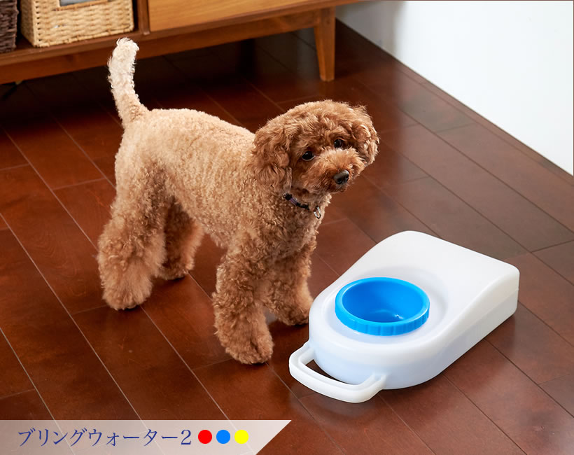ブリングウォーター2