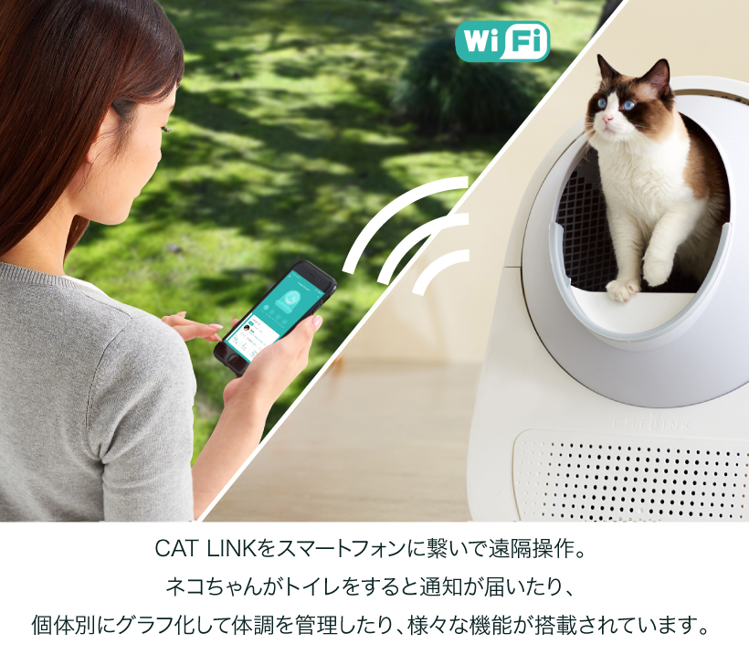 CAT LINK