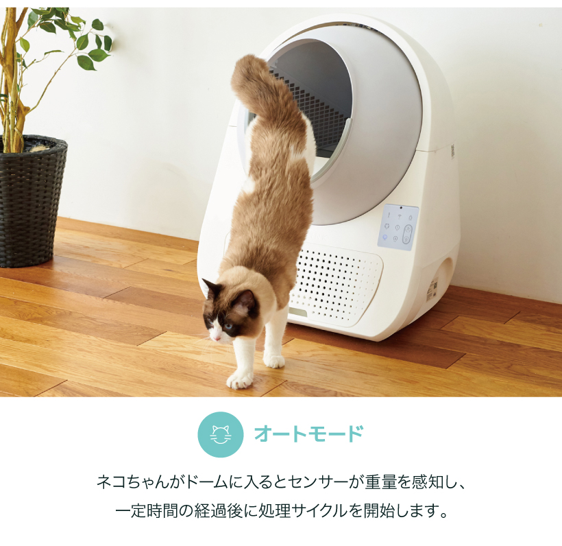 CAT LINK