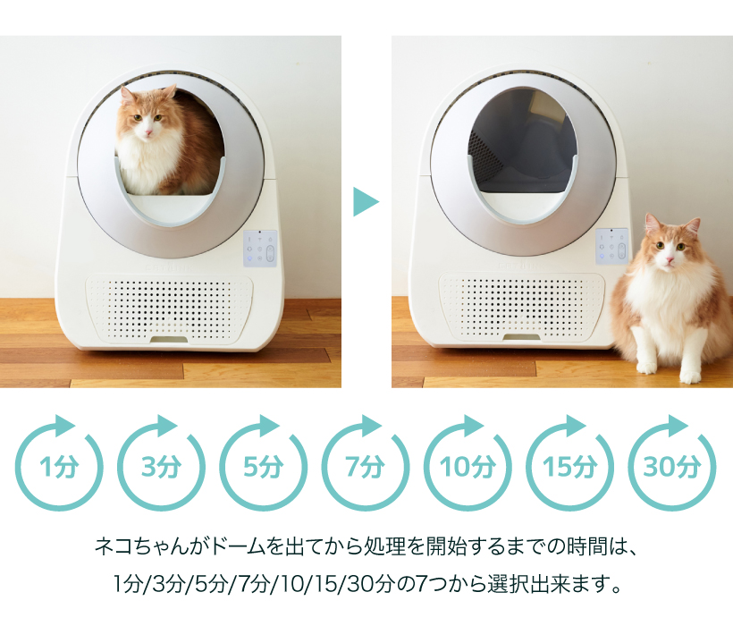 CAT LINK