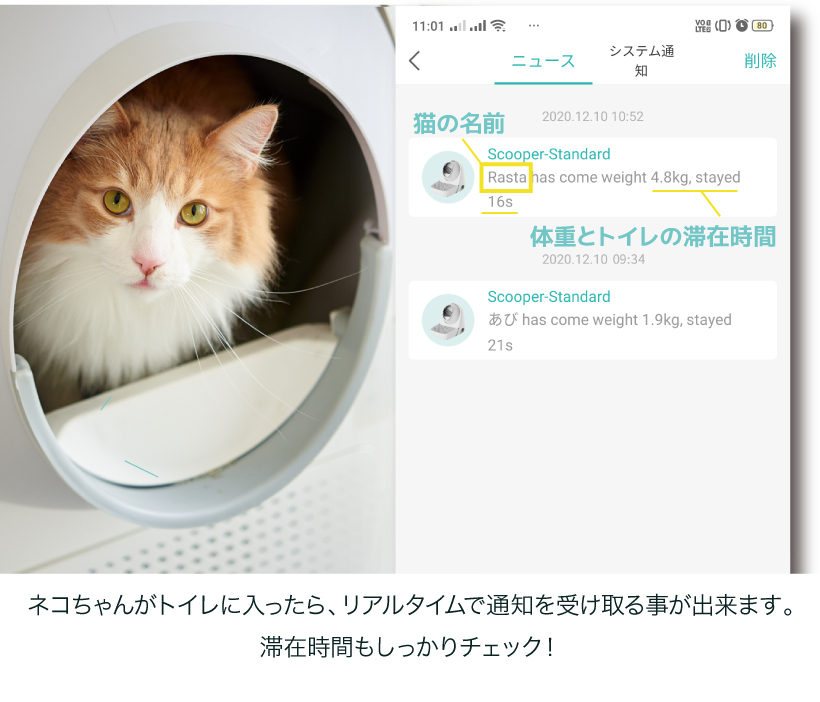 CAT LINK