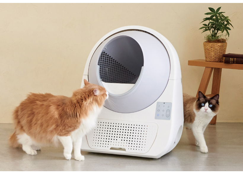 CAT LINK
