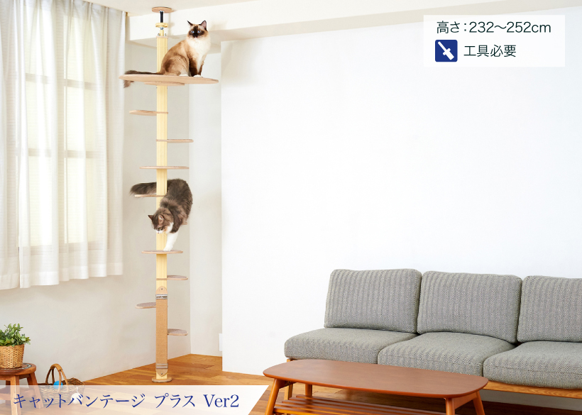 キャットバンテージプラスver2