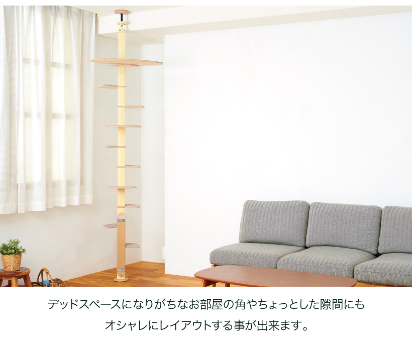 キャットバンテージプラスver2