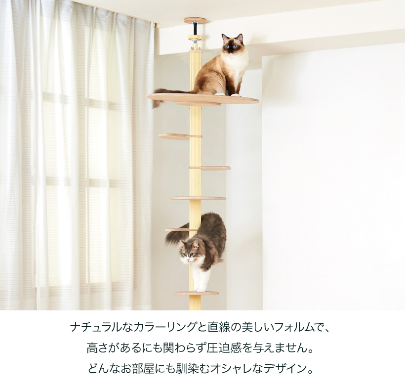 キャットバンテージプラスver2