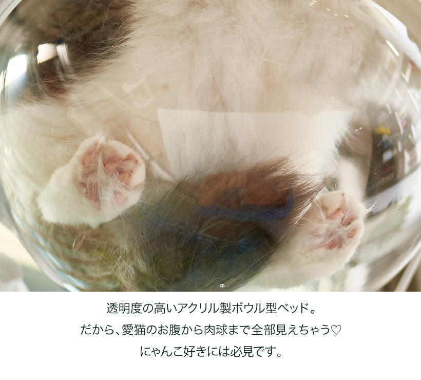 キャットクリアカプセル プラネット