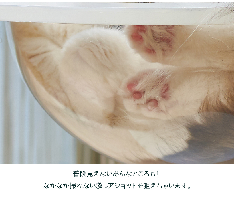 キャットクリアカプセル プラネット