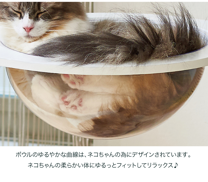 キャットクリアカプセル プラネット