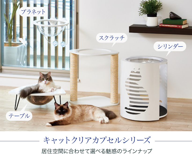 キャットクリアカプセル プラネット