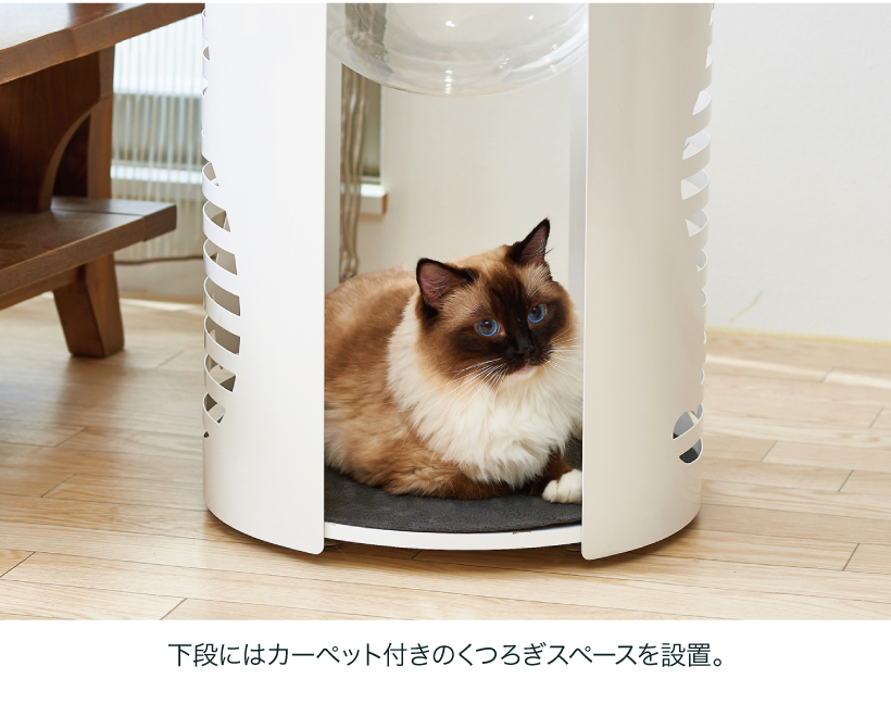 キャットクリアカプセル シリンダー