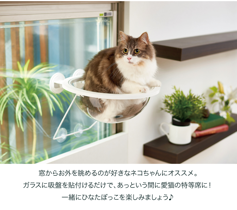 キャットクリアカプセル プラネット
