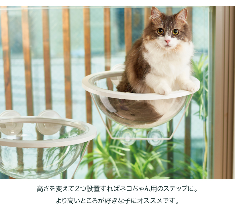 キャットクリアカプセル プラネット