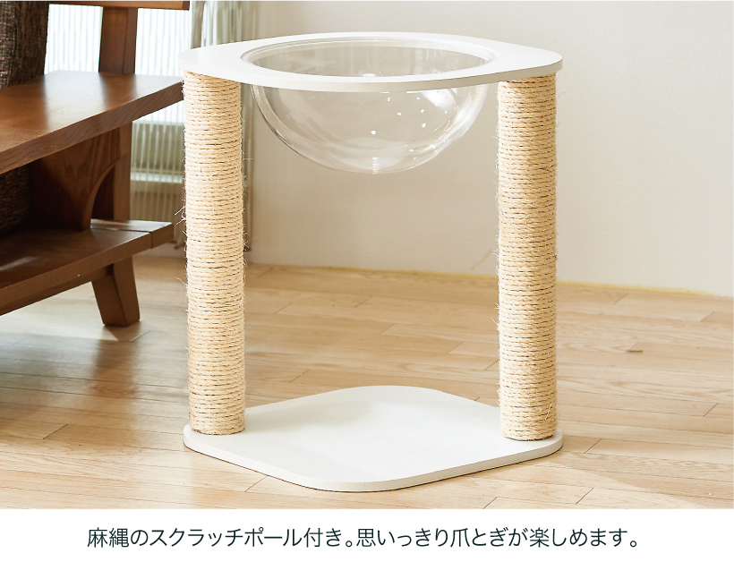 キャットクリアカプセル スクラッチ