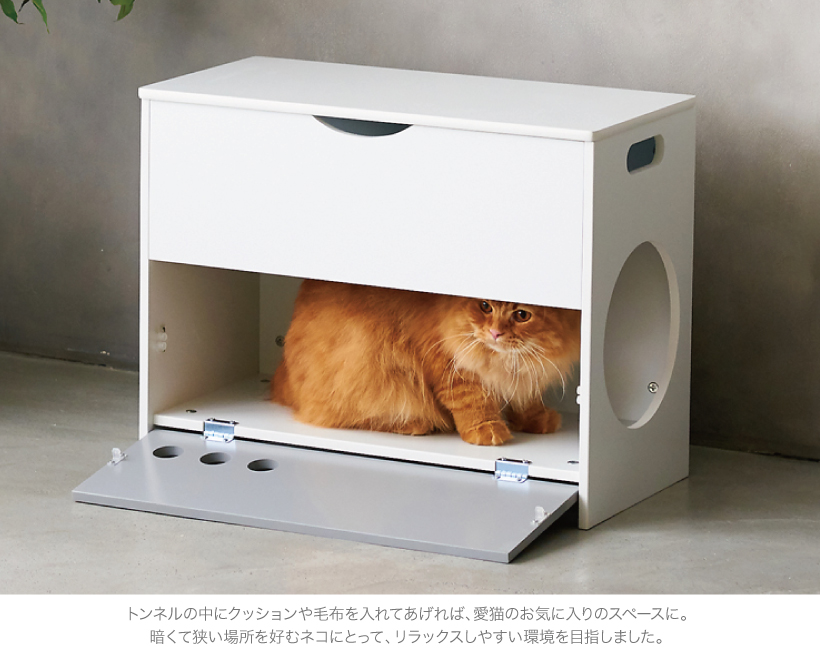 キャットチェアハウス