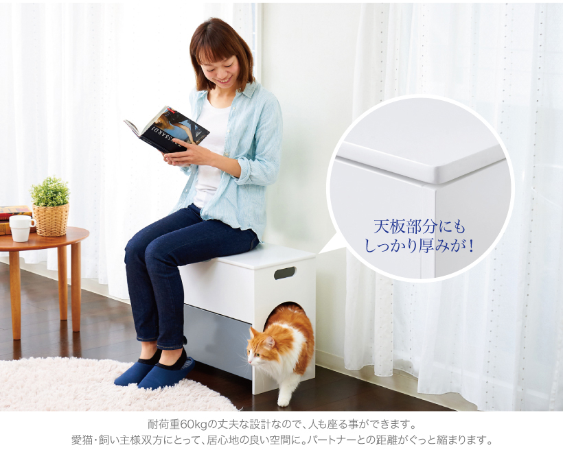キャットチェアハウス