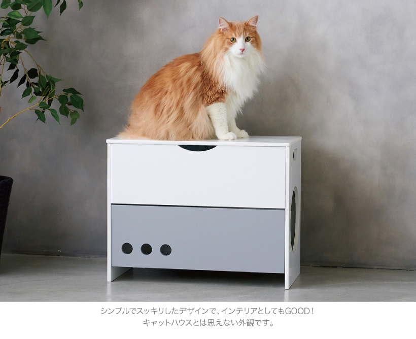 キャットチェアハウス