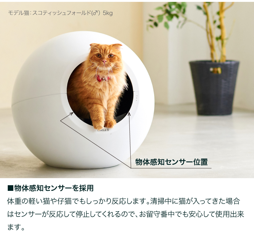 自動猫トイレ サークルゼロ