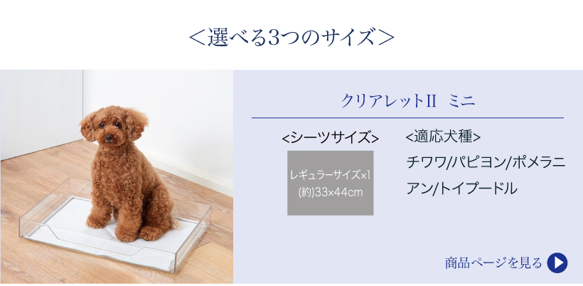 クリアレット2 ラージ