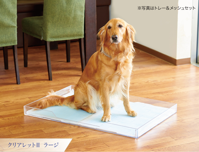 クリアレット2 ラージ