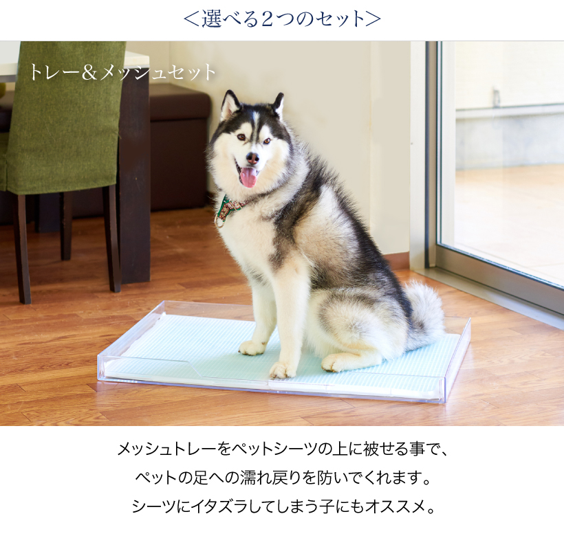 クリアレット2 ラージ