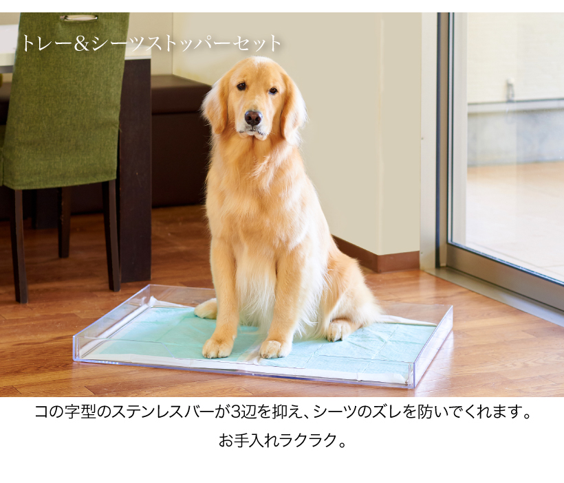 クリアレット2 ラージ