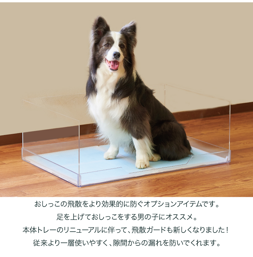クリアレット2 ラージ