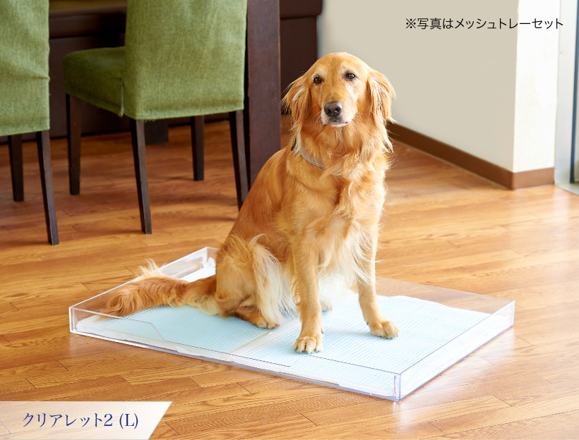 クリアレット2(L)