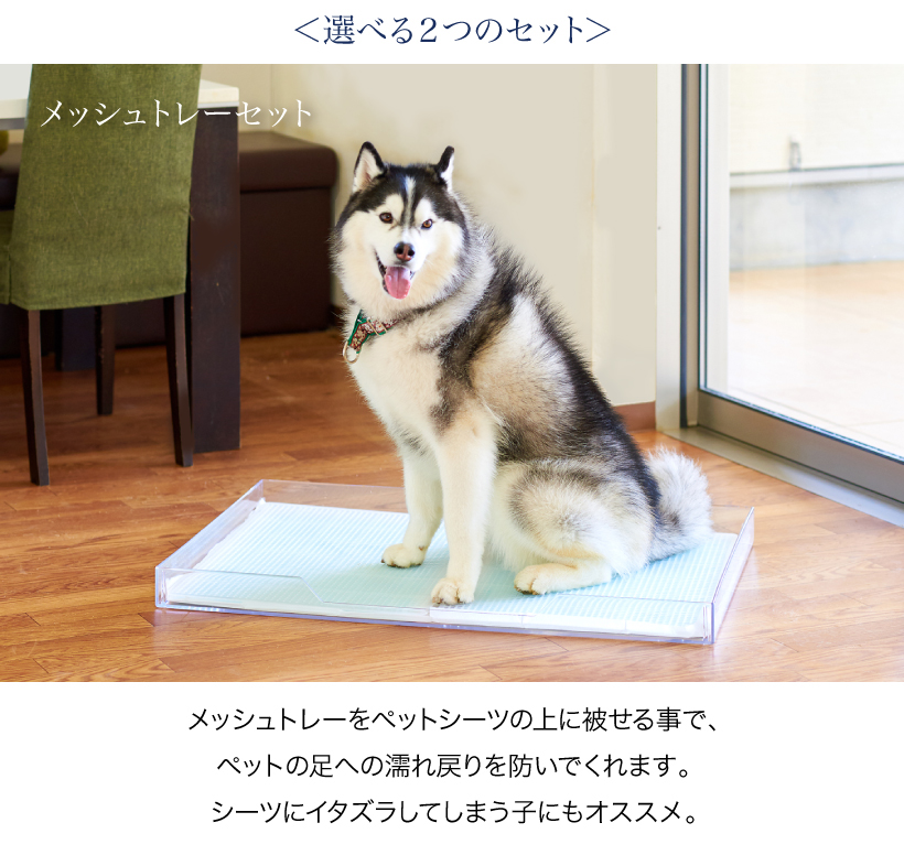 クリアレット2(L)