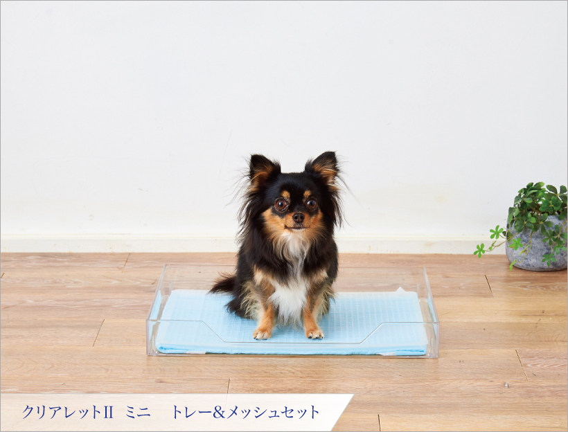 クリアレット2ミニ トレー&メッシュセット