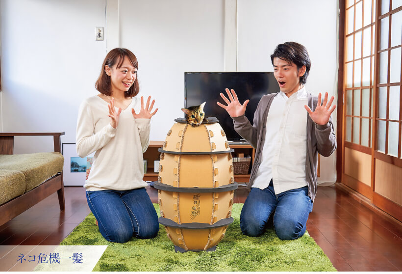 ネコ危機一髪