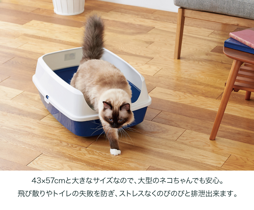Deep pan ジャンボ