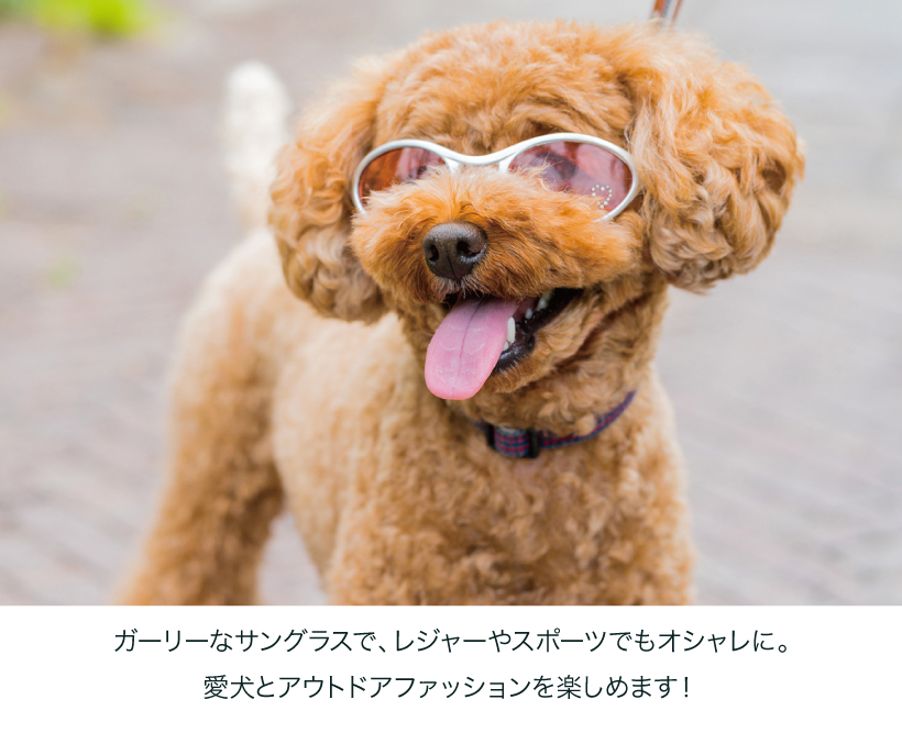 ドグルズ サングラス ピンク