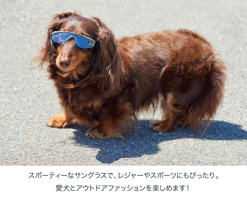 ドグルズ サングラス グレー
