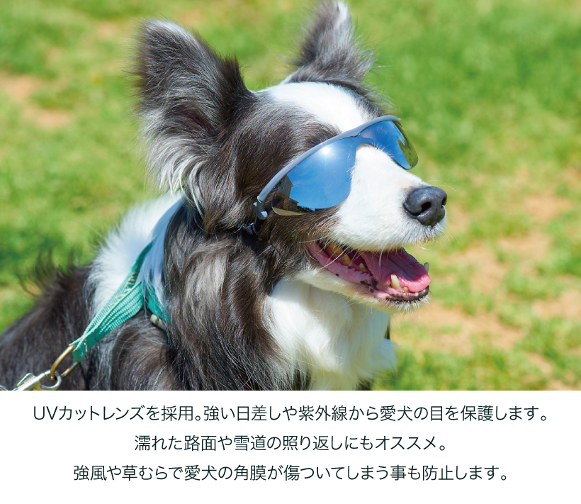 ドグルズ サングラス グレー